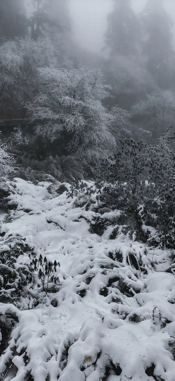 山间雪景手机壁纸